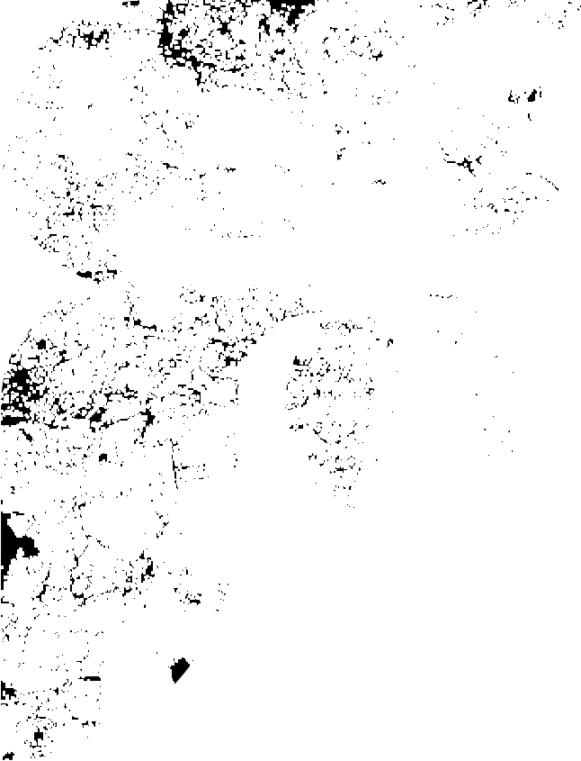 Fusionize Music Management emblem